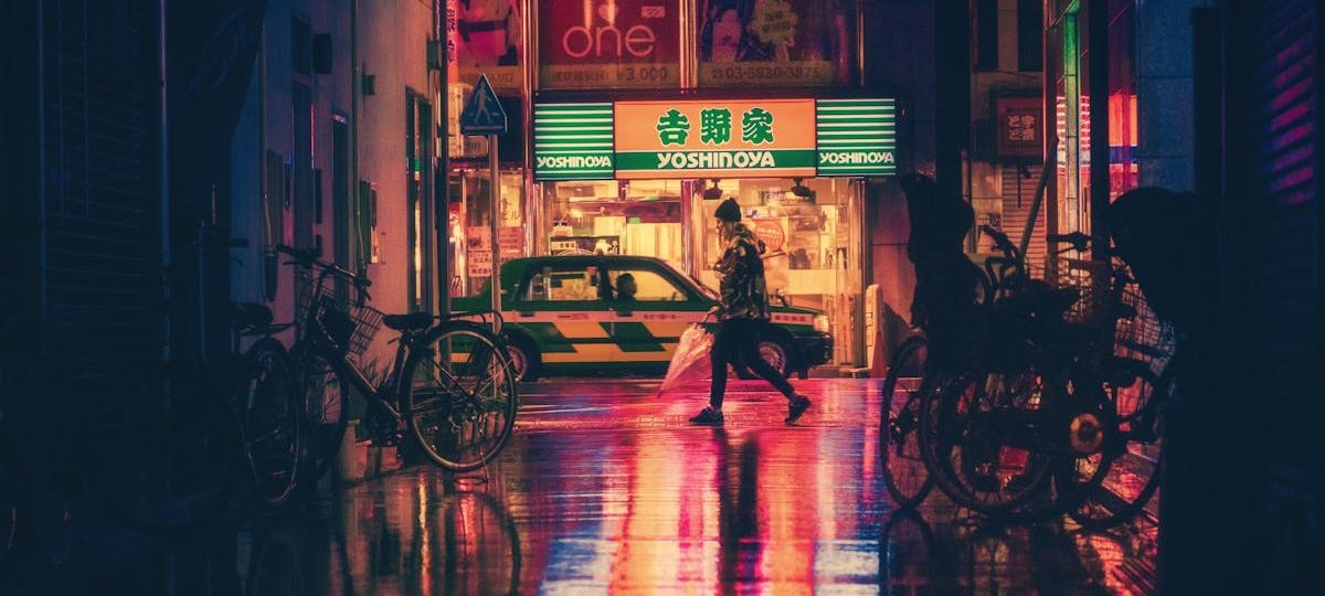 La consultora en proyectos de cooperación internacional Aninver, liderando el mercado asiático